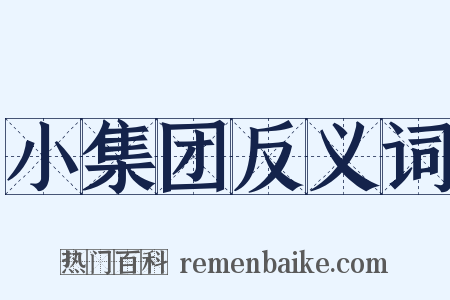 小集团反义词是什么意思的图片